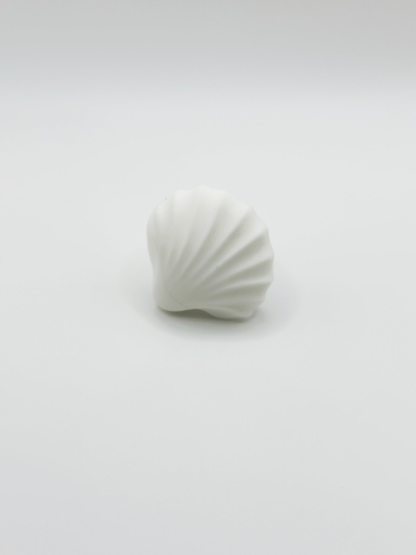 Sea Shells Knobs-In Your Dream Collection