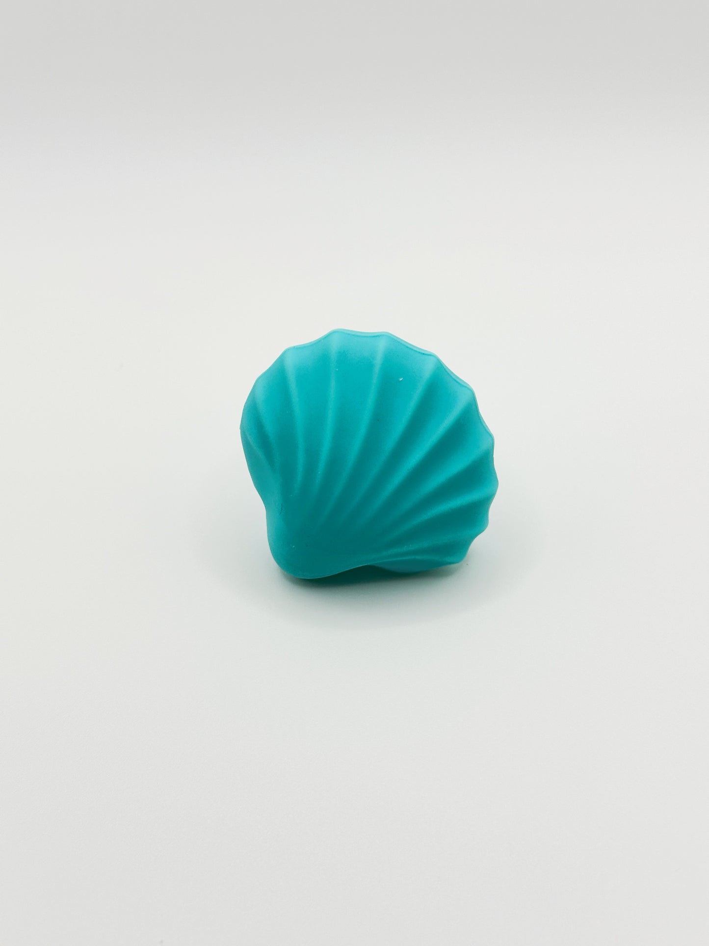 Sea Shells Knobs-In Your Dream Collection